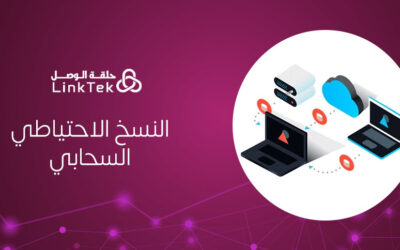 احمِ بياناتك المحاسبية بأعلى مستوى من الأمان : النسخ الاحتياطي السحابي لأنظمة ERP مع خدمة LinkPro